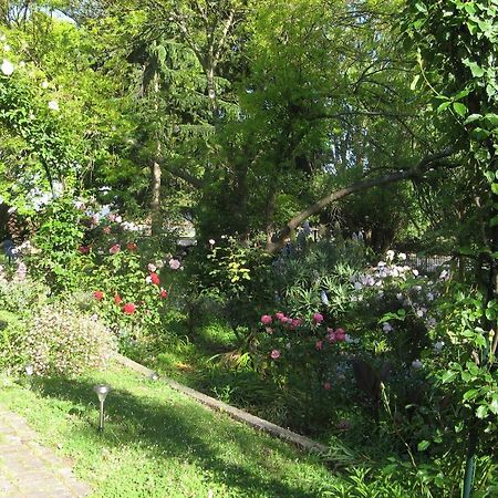 Westella Colonial B&B Accommodation Ulverstone Extérieur photo