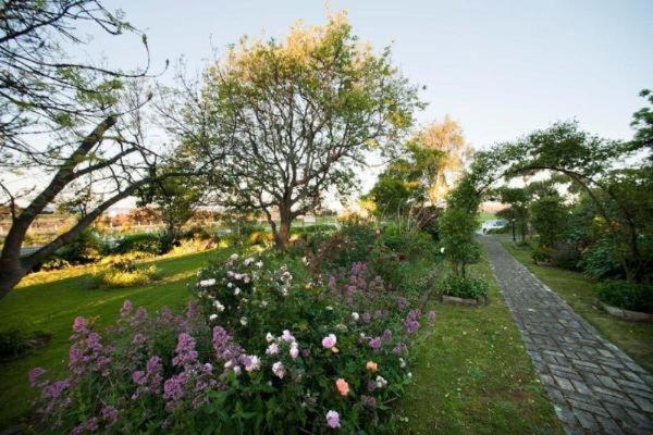 Westella Colonial B&B Accommodation Ulverstone Extérieur photo